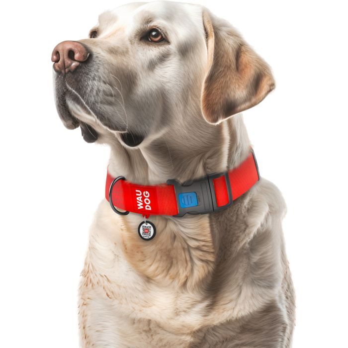 Ошейник для животных WAUDOG Waterproof с QR паспортом пластиковый фастекс XXL голубой (25112) изображение 4