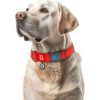 Ошейник для животных WAUDOG Waterproof с QR паспортом пластиковый фастекс XXL красный (25113) изображение 4
