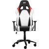 Кресло игровое 2E Gaming Bushido II White/Black (2E-GC-BUS-WT) изображение 2