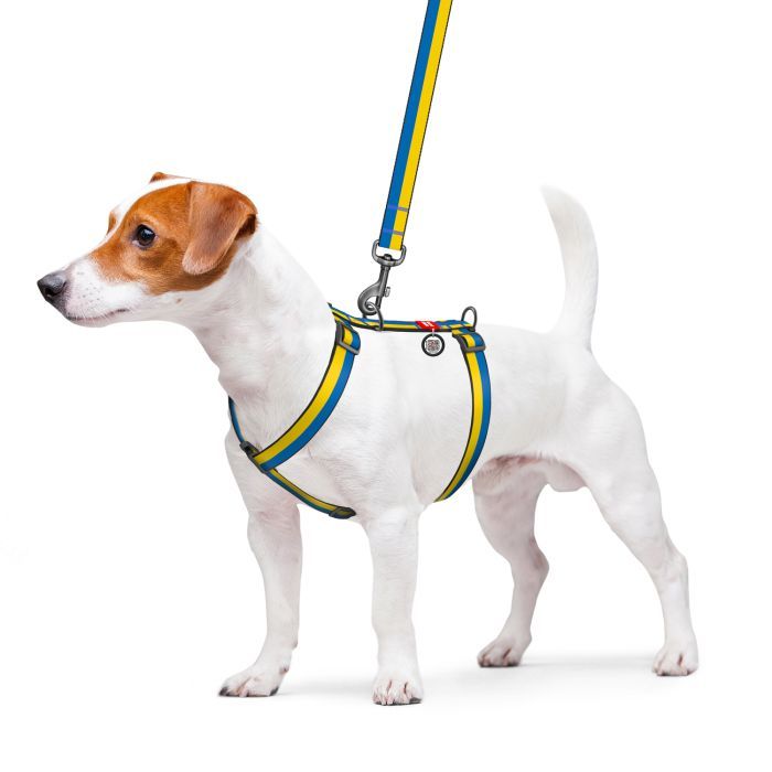 Шлей для собак WAUDOG Nylon с QR паспортом анатомическая "Colors of freedom" XS (319-4020) изображение 4
