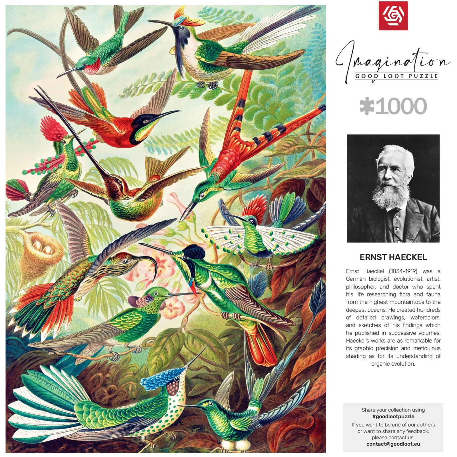 Пазл GoodLoot Imagination: Ernst Haeckel Hummingbirds/Kolibry 1000 элементов (5908305246794) изображение 5