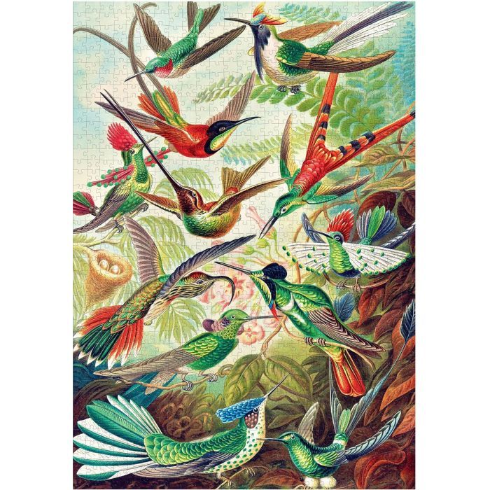 Пазл GoodLoot Imagination: Ernst Haeckel Hummingbirds/Kolibry 1000 елементів (5908305246794) зображення 9