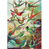 Пазл GoodLoot Imagination: Ernst Haeckel Hummingbirds/Kolibry 1000 элементов (5908305246794) изображение 9