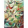 Пазл GoodLoot Imagination: Ernst Haeckel Hummingbirds/Kolibry 1000 елементів (5908305246794) зображення 9