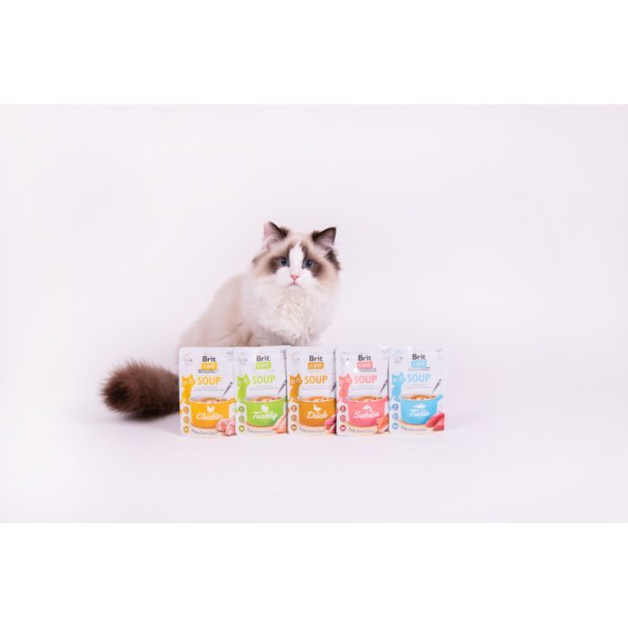 Вологий корм для кішок Brit Care Soup with Chicken з куркою 75 г (8595602569175) зображення 4
