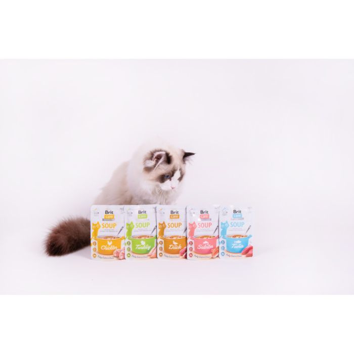 Вологий корм для кішок Brit Care Soup with Chicken з куркою 75 г (8595602569175) зображення 5