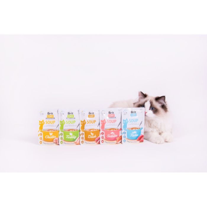 Вологий корм для кішок Brit Care Soup with Chicken з куркою 75 г (8595602569175) зображення 6