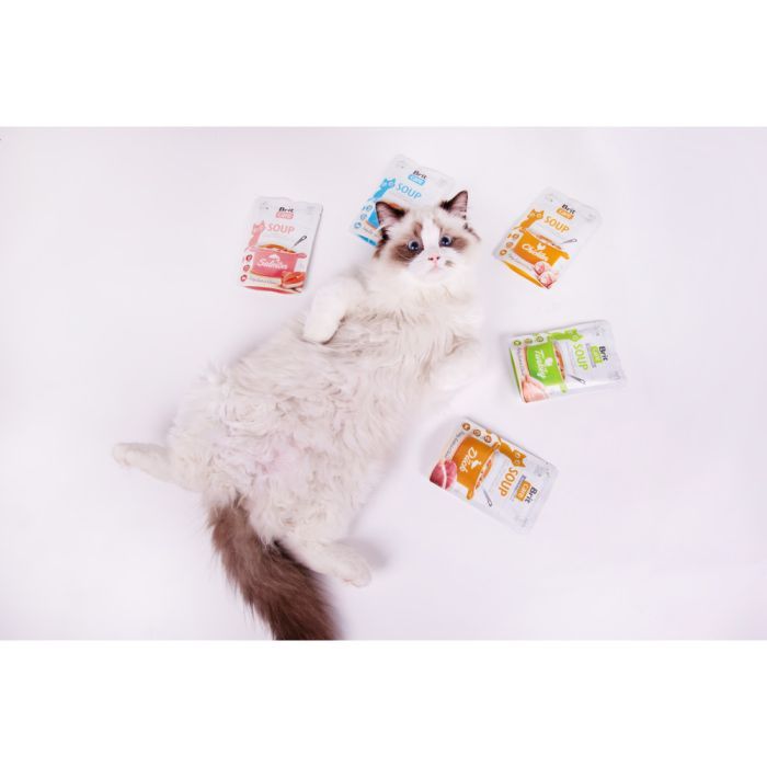 Вологий корм для кішок Brit Care Soup with Chicken з куркою 75 г (8595602569175) зображення 7