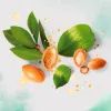 Маска для волосся Herbal Essences Арганова олія Відновлювальна 300 мл (8700216210966) зображення 4