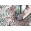 Пазл Eugy 3D Зоопарк Коала (XEG-016) зображення 8