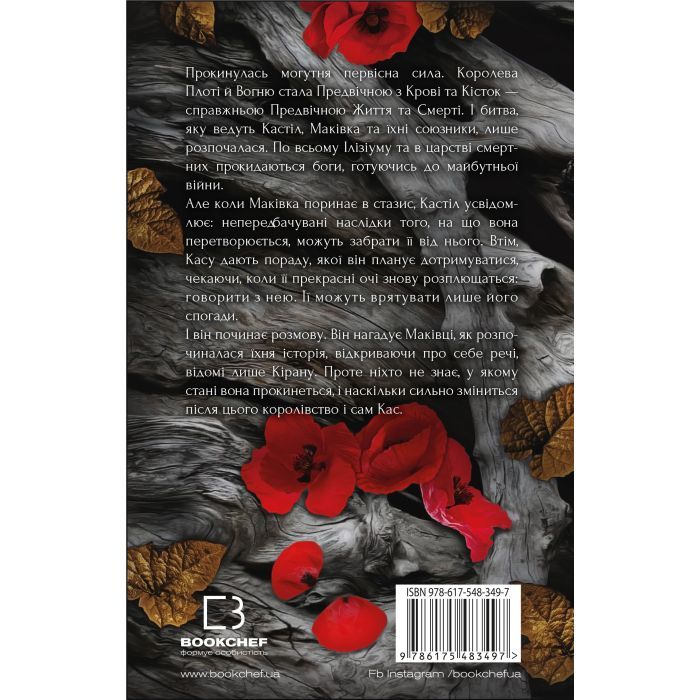 Книга Кров і попіл: Душа з попелу та крові - Дженніфер Л. Арментраут BookChef (9786175483497) зображення 3