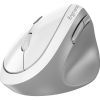 Мышка Genius Ergo 8350S AI Silent Wireless White/Grey (31030041401) изображение 2