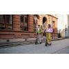 Електросамокат Segway Ninebot E2 E II, чорний (AA.05.14.01.0004) зображення 6