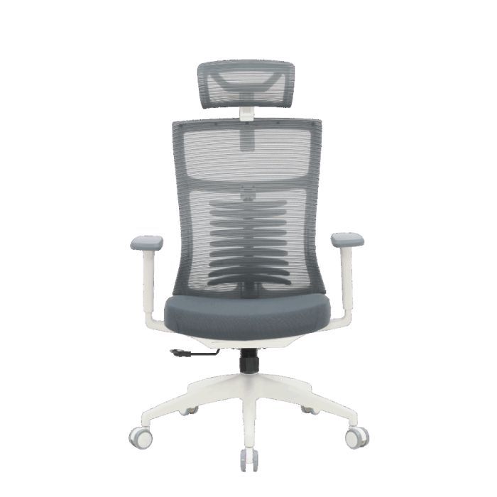 Офісне крісло OfficePro Balance OC550-W-DG-DG (OC550-W-DG-DG)