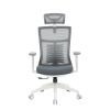 Офісне крісло OfficePro Balance OC550-W-DG-DG (OC550-W-DG-DG)