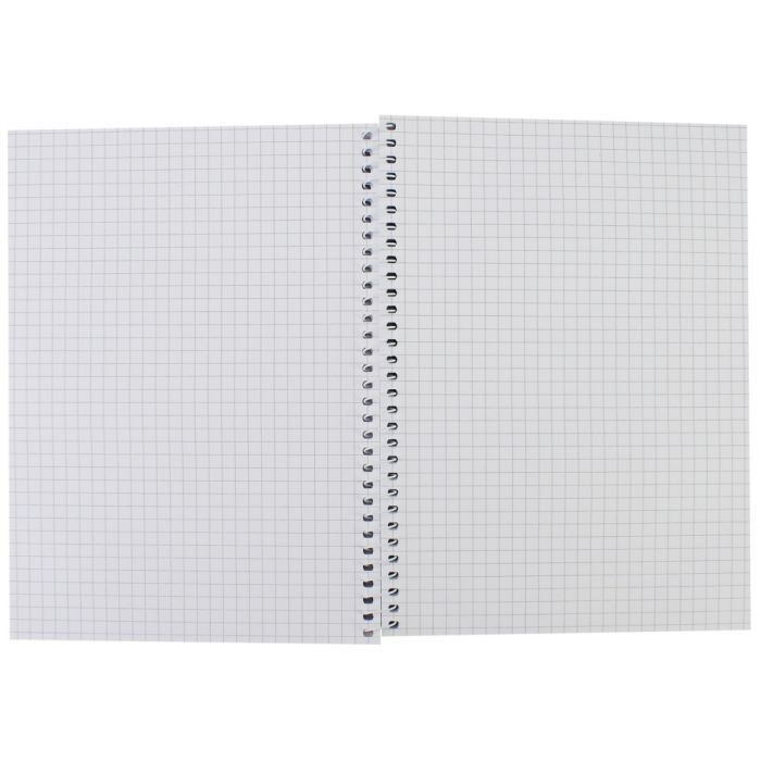 Блокнот Maxi А5, пластиковая обложка, спираль, 80 л., клетка (MX21950-02) изображение 2