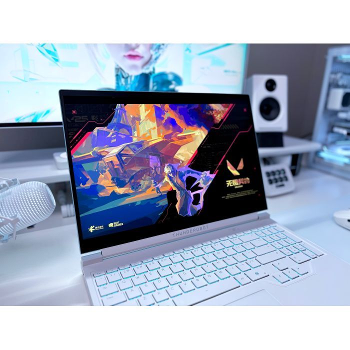 Ноутбук Thunderobot RS16 (RS16-R9985HX57E1Q240ARC) изображение 11