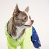 Дощовик для тварин Pet Fashion "PULSE" XS (синій із зеленим) (4823082422821) зображення 3