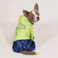 Дощовик для тварин Pet Fashion "PULSE" XS (синій із зеленим) (4823082422821) зображення 4