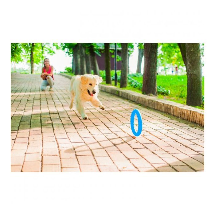 Игрушка для собак Collar PitchDog Кольцо для апортировки 20 см голубое (62372) изображение 4