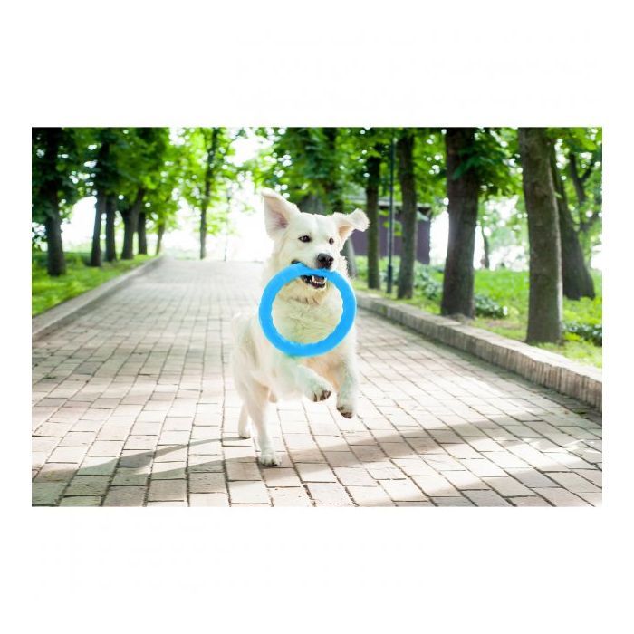 Игрушка для собак Collar PitchDog Кольцо для апортировки 20 см голубое (62372) изображение 5
