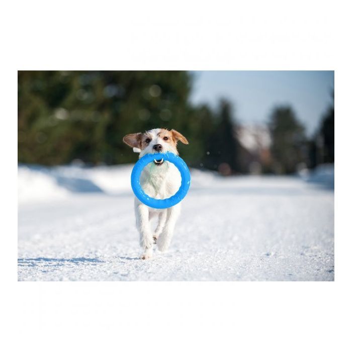 Игрушка для собак Collar PitchDog Кольцо для апортировки 20 см голубое (62372) изображение 8