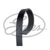 Поліклиновий ремінь Gates 6PK1730