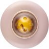 Прорезыватель Canpol Babies сенсорное Розовое (56/610_pin) изображение 3