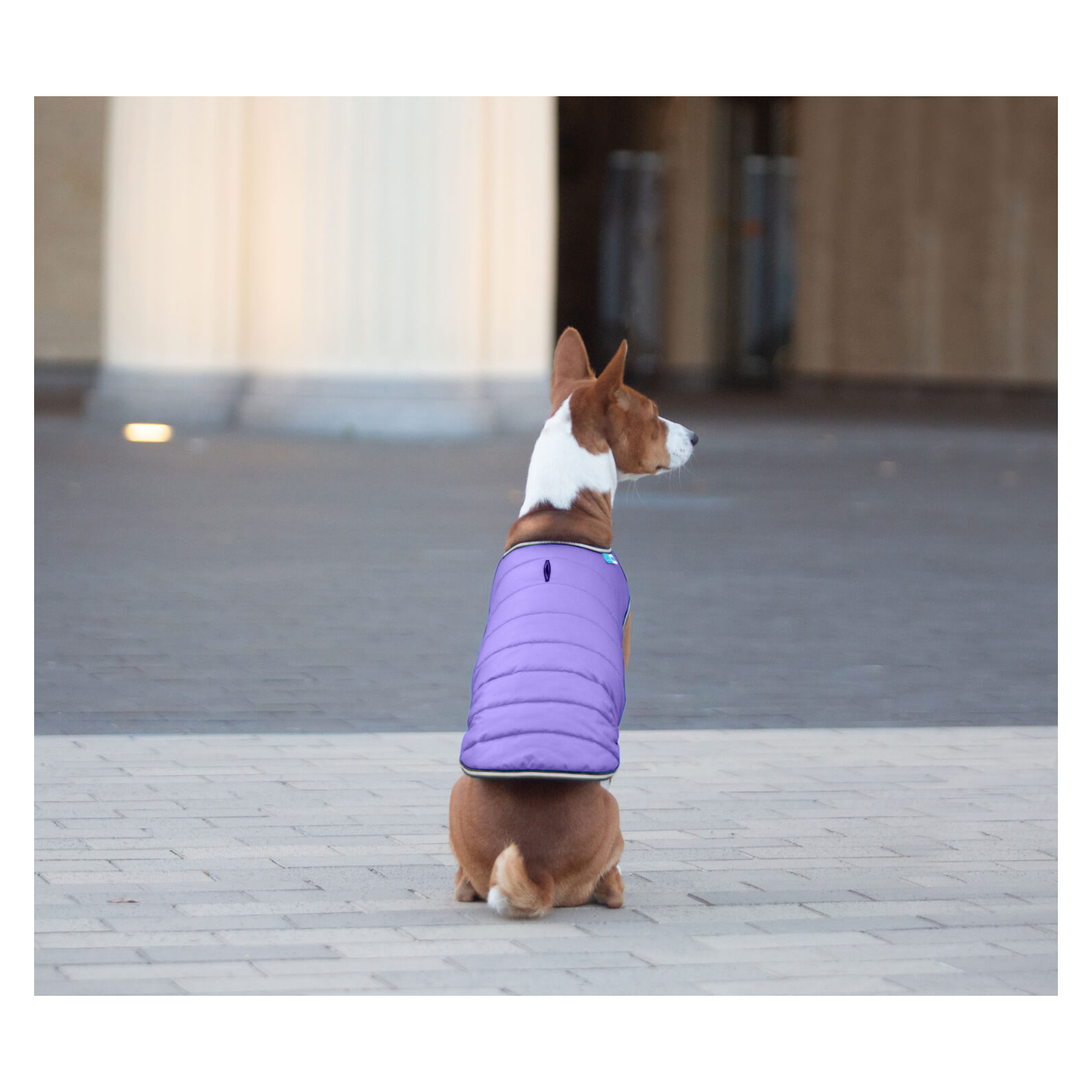 Курточка для животных Airy Vest S фиолетовая (15429) изображение 6