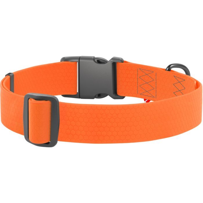 Ошейник для животных WAUDOG Waterproof с QR паспортом пластиковый фастекс XXL голубой (25112) изображение 2