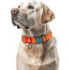 Ошейник для животных WAUDOG Waterproof с QR паспортом пластиковый фастекс XXL оранжевый (25114) изображение 4