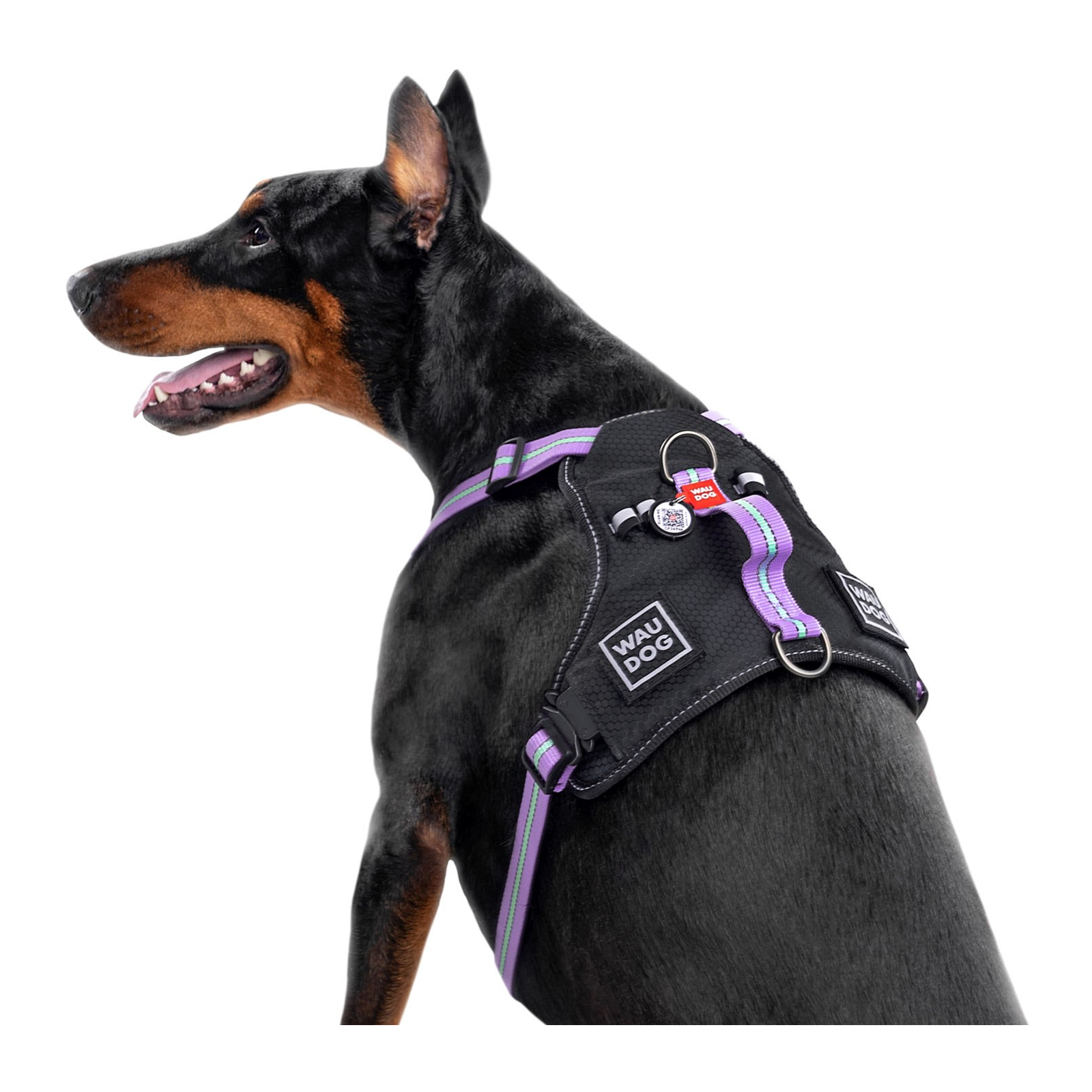 Шлей для собак WAUDOG Nylon безопасна с QR паспортом L голубая (52502) изображение 4