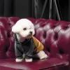 Толстовка для тварин Pet Fashion Rollie S (4823082427703) зображення 6