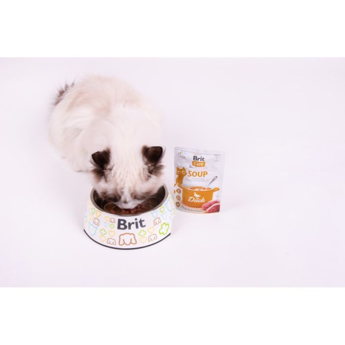 Вологий корм для кішок Brit Care Soup with Duck з качкою 75 г (8595602569182) зображення 3