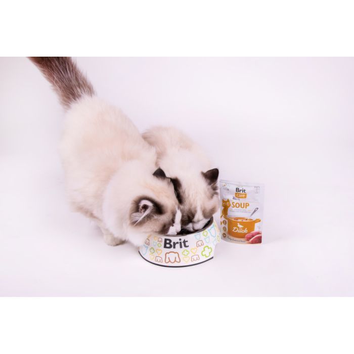 Вологий корм для кішок Brit Care Soup with Duck з качкою 75 г (8595602569182) зображення 5