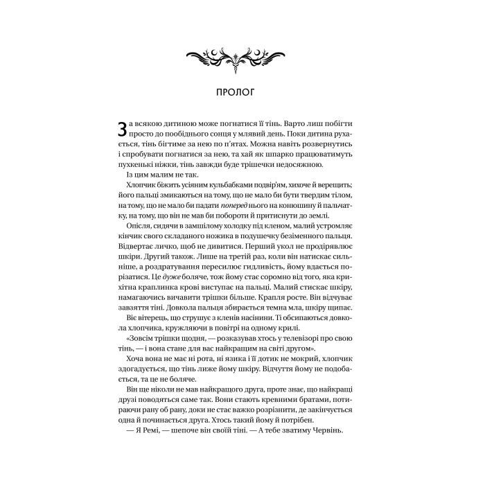 Книга Книга ночі - Голлі Блек Vivat (9786171706354) изображение 5