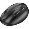 Мышка Genius Ergo 8350S AI Silent Wireless Black (31030041400) изображение 4