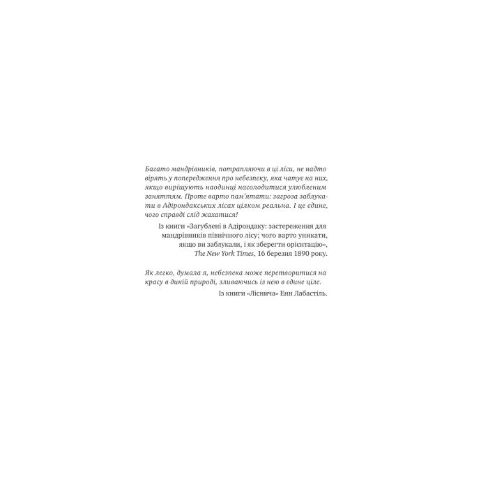 Книга Лісовий бог - Ліз Мур Vivat (9786171713567) изображение 7