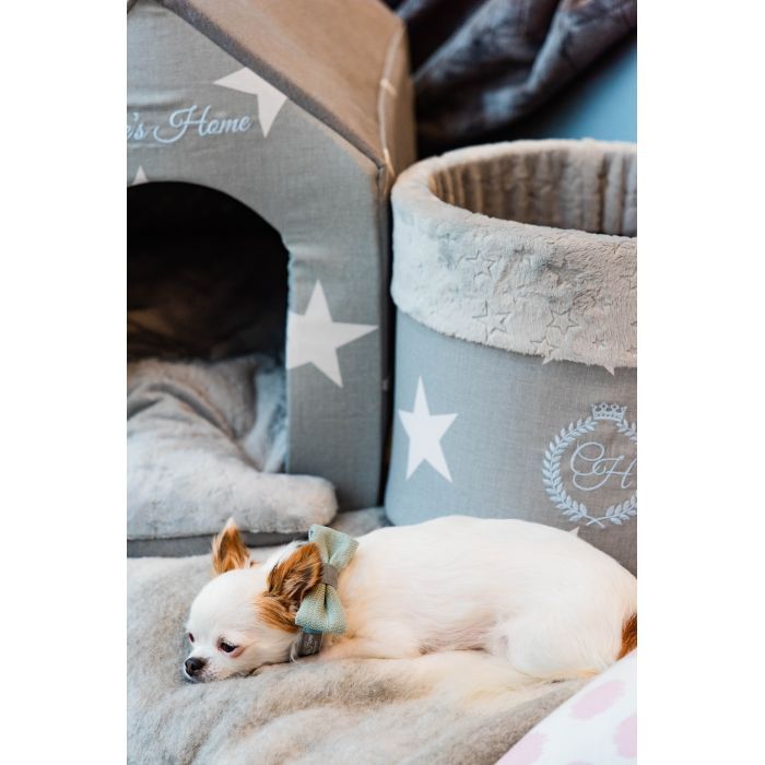 Нашийник для тварин Chloe's Home Royal чорний M (CLH1868) зображення 2