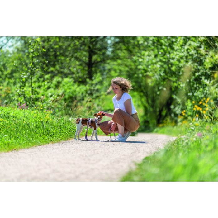 Шлей для собак Trixie Premium трекинговая XL 80–97 см 25 мм оранжево-серая (4053032678880) изображение 3