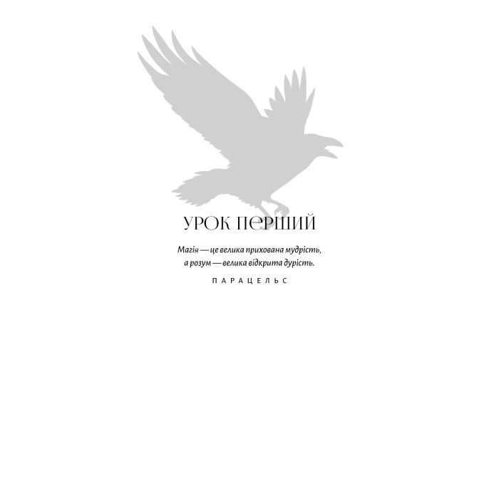Книга Академія Чорного Птаха. Книга 1: Убий темряву - Стелла Так BookChef (9786175485163) изображение 5