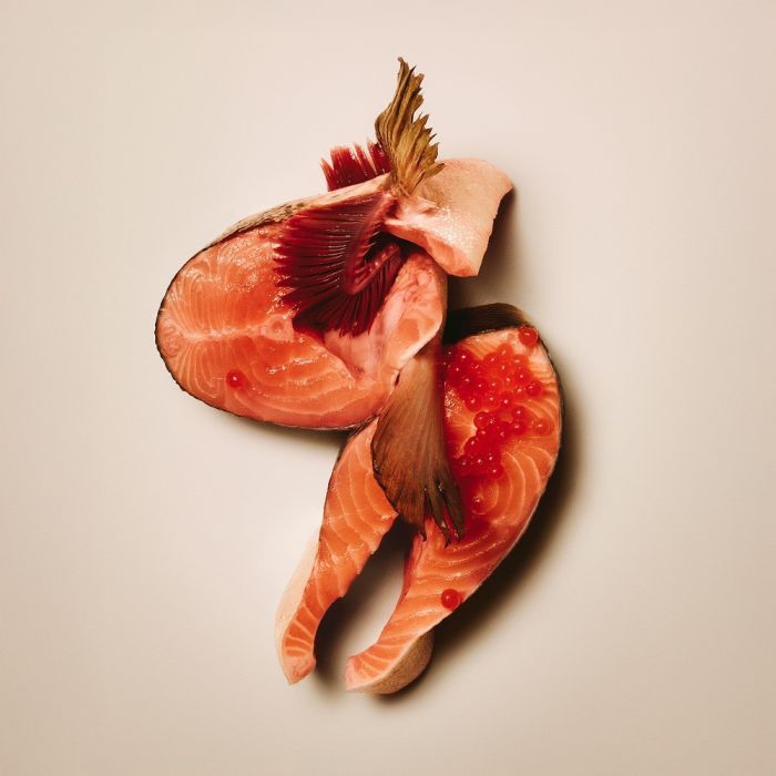Сухий корм для кішок Carnilove Active Salmon & Turkey Sterilised 400 г (8595602581528) зображення 3