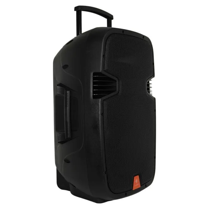 Акустическая система Clarity MAX12MBAW-U Black (287088) изображение 2