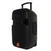 Акустическая система Clarity MAX12MBAW-U Black (287088) изображение 3