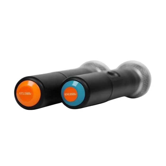 Акустическая система Clarity MAX12MBAW-U Black (287088) изображение 7