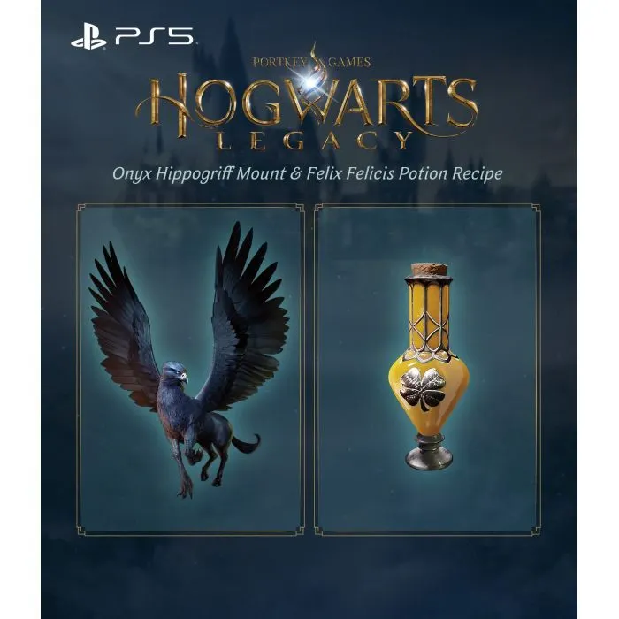 Гра Sony Hogwarts Legacy, BD диск (1194246) зображення 12