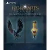 Гра Sony Hogwarts Legacy, BD диск (1194246) зображення 12
