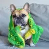Іграшка для собак Outward Hound Squeaker Matz Алігатор 76x15 см (0700603320399) зображення 12