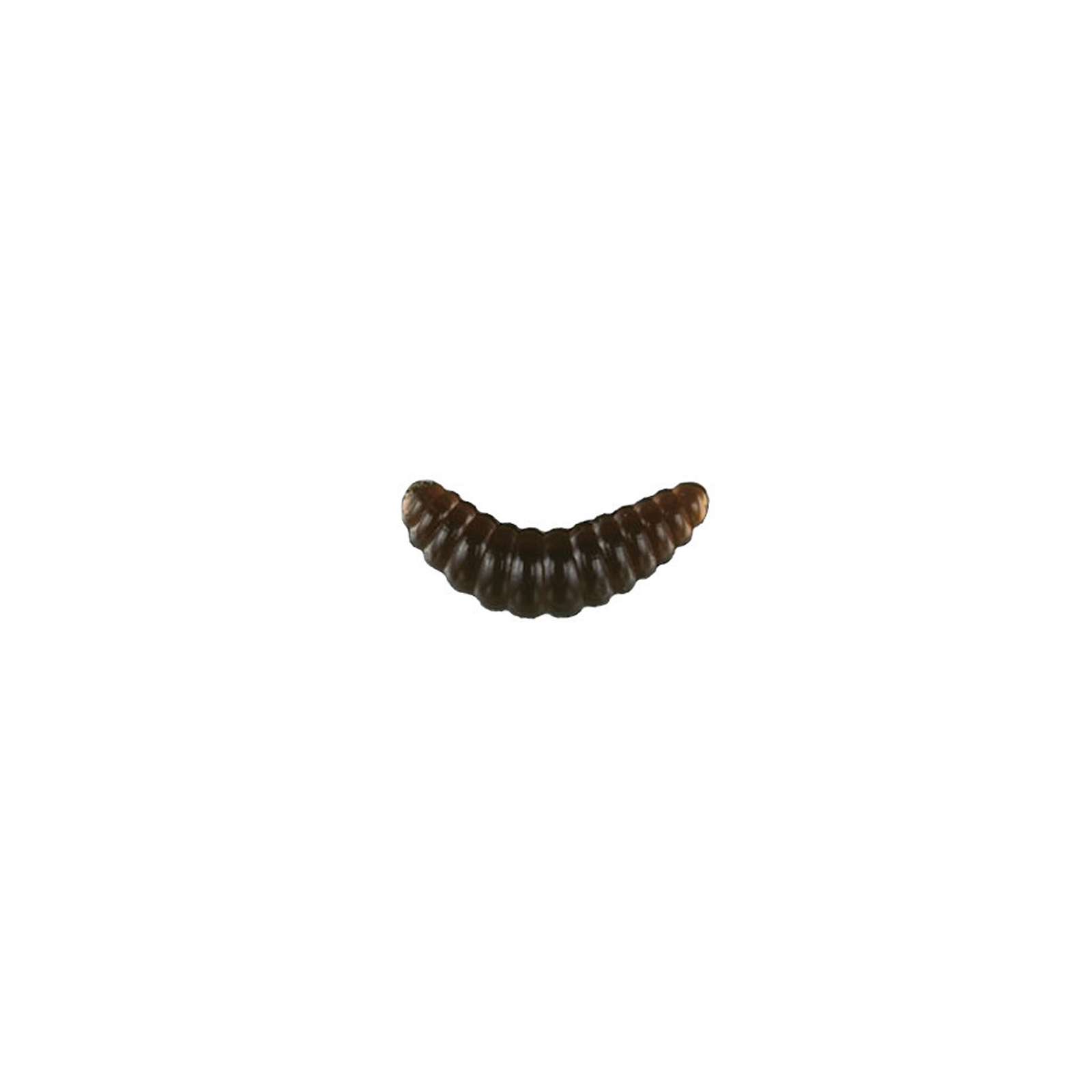 Силикон рыболовный Nomura Honey Worm 20мм 0,35гр. цвет-053 (night worm) 12шт (NM78005302)