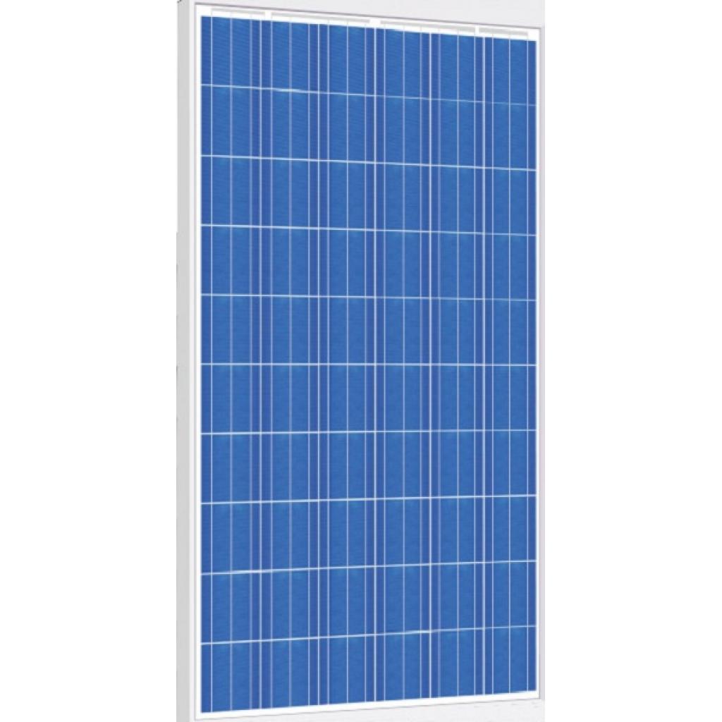 Сонячна панель Risen 250W, Poly, 1000V (SYP-250P)